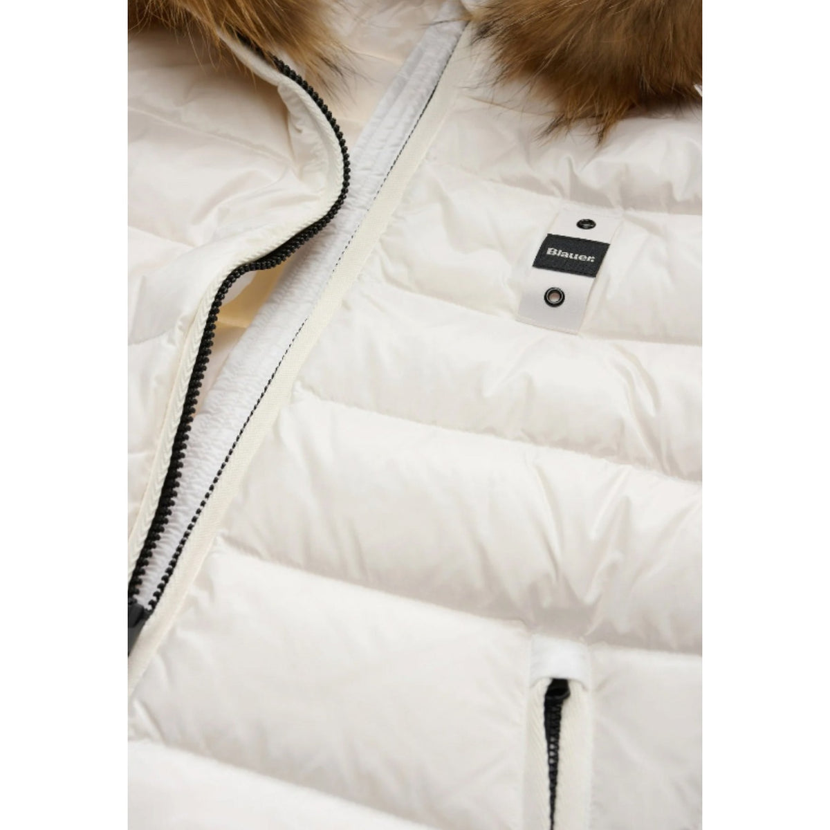 Blauer Giacca Donna